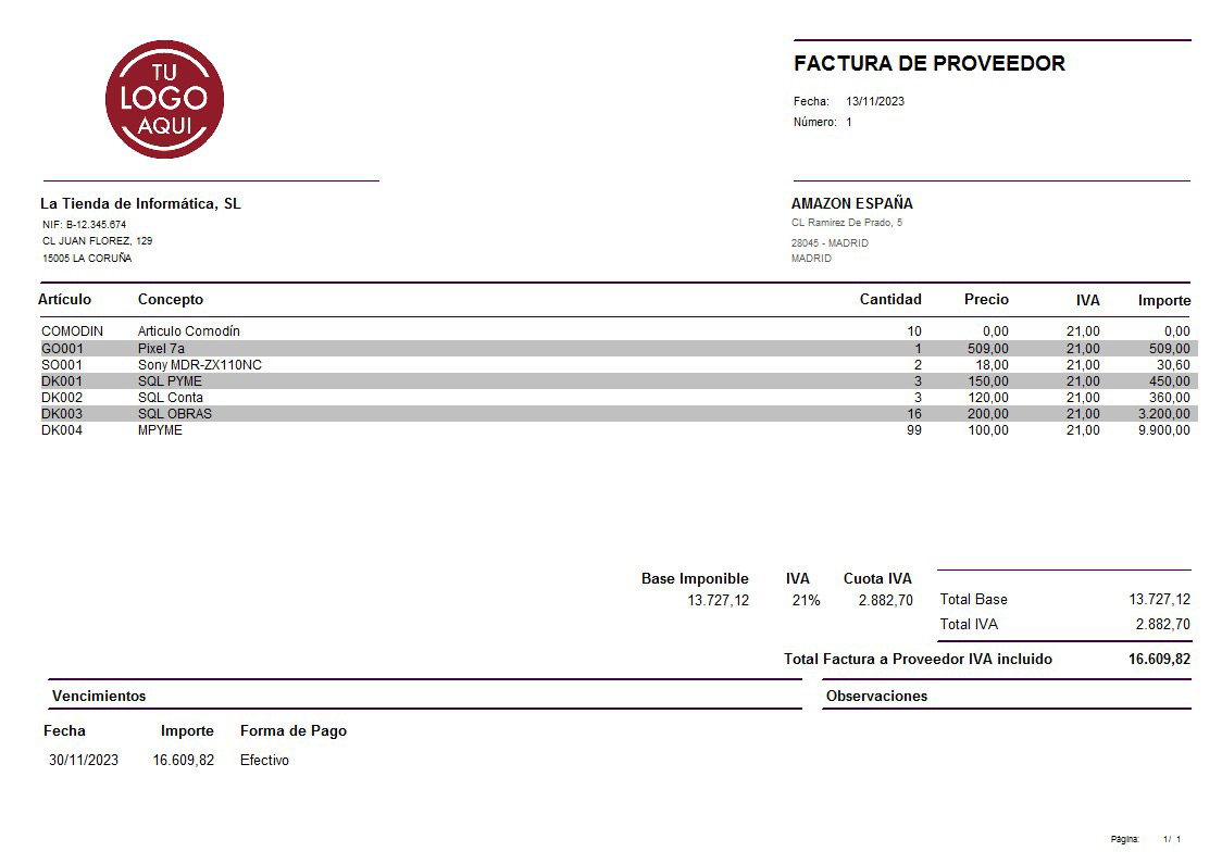 Factura prov 09 apaisado