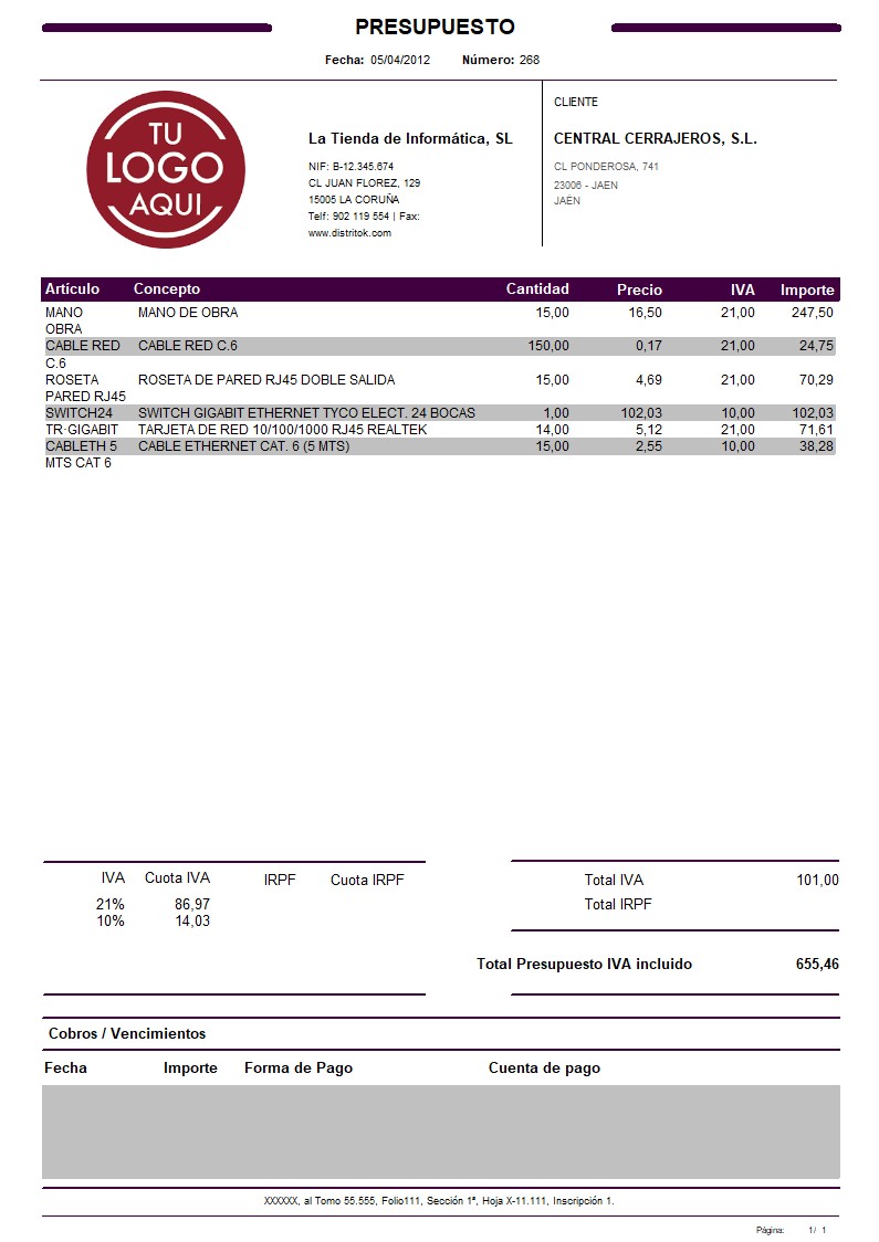 Presupuesto 11 generico