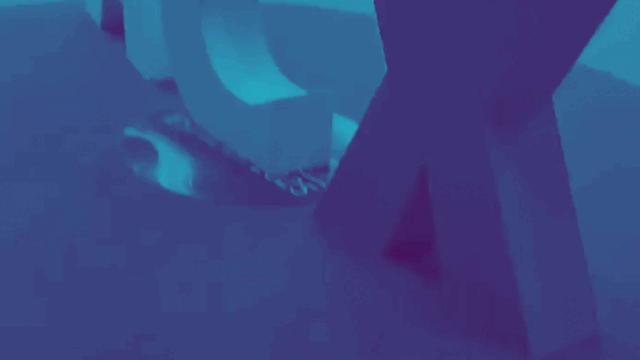 Gracias por visitarnos en Accountex 2025